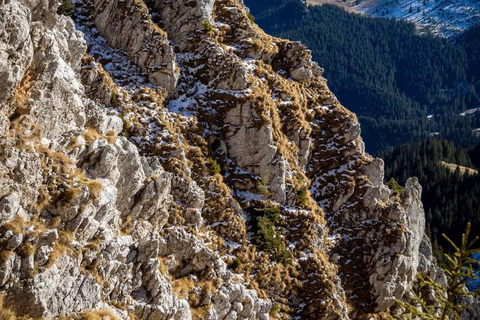 Romania: 3-Day Carpathian Mountains Hiking Tour