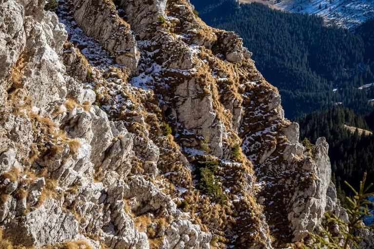 Romania: 3-Day Carpathian Mountains Hiking Tour