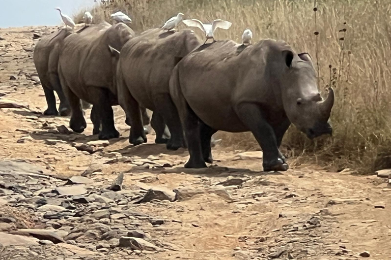 Escursione di un giorno al Parco Nazionale del Lago Nakuru da Nairobi