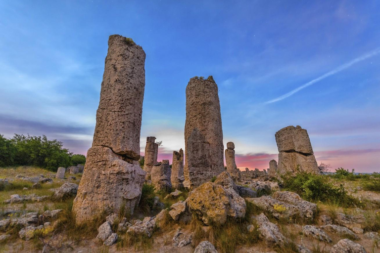 Stone Forest Varna Tour