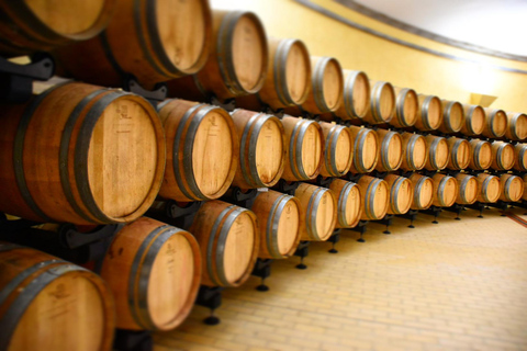 Winery tour and Tuscan wine tasting with culinary specialties