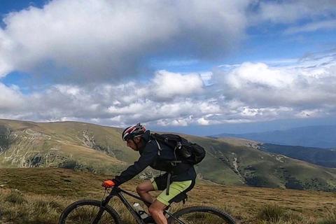 Sinaia: Guided Mountain Bike Tour in the Bucegi Mountains