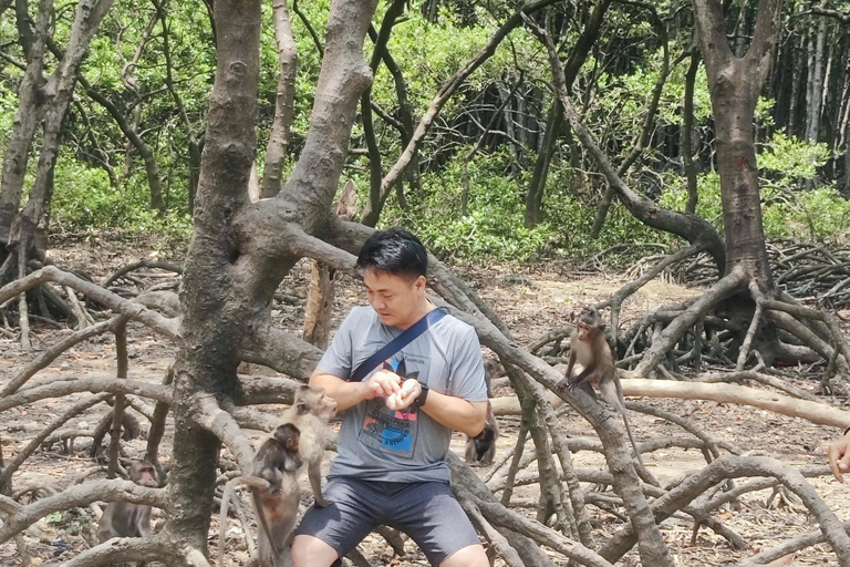 Visite d&#039;une jounée de la forêt de mangroves de Can Gio et de l&#039;île aux singes