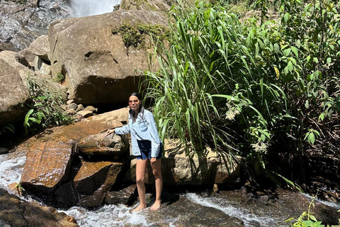 CMB/Negombo: Sigiriya, Kandy & Ella Private Tour with Driver Private Van with Driver – Up to 50 km