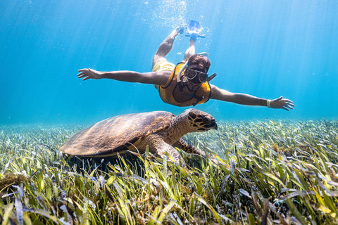 Experiencia en barco de snorkel 5 en 1 en Cancún