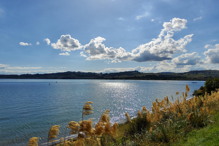 Auckland: Wai-O-Tapu and Lake Taupo Private Day Tour