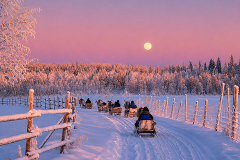 Rovaniemi Reindeer Farm Visit | Photos & Video | Local Guide ⭐ Reindeer Safari | 2.5km | Extended Adventure