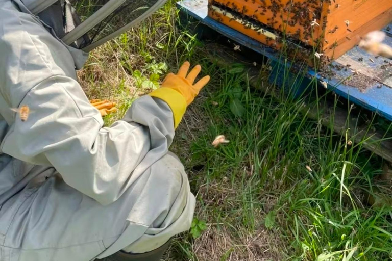 Experience beekeeping in Manchester