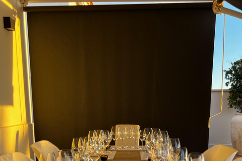 Tenerife: Private Canary Wine Tasting at Your Villa