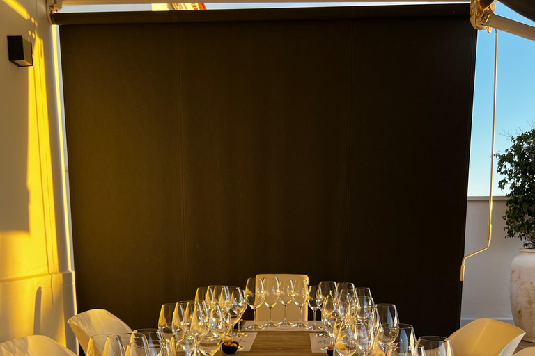 Tenerife: Private Canary Wine Tasting at Your Villa