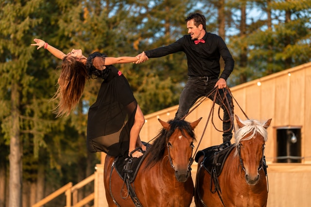 Reitshow und Konzert im Marais en Selle: ein unvergesslicher Abend