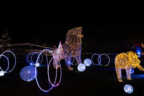 LUMAGICA MonacoMonaco di Baviera: biglietto d'ingresso al Lumagica Light Park a Cavalluna