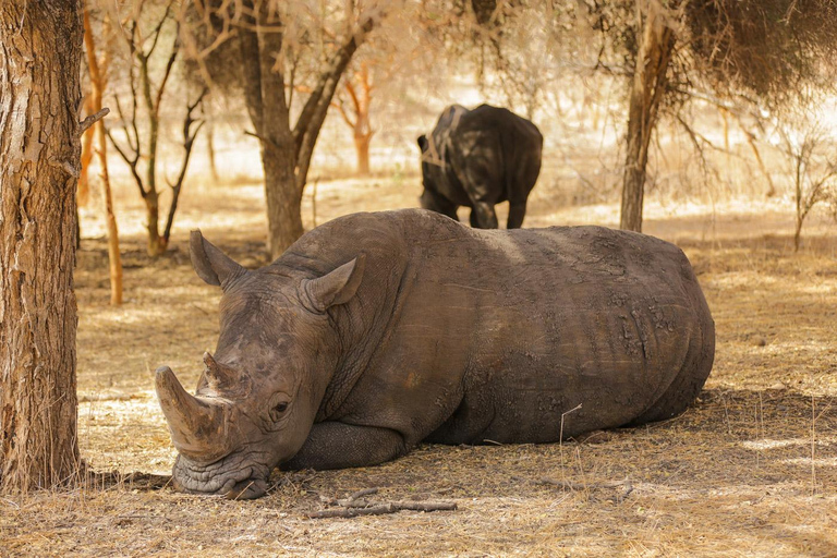 Z Dakaru: Wycieczka 1-dniowa do parku Bandia i laguny SomoneJednodniowa wycieczka do parku Bandia i Somone