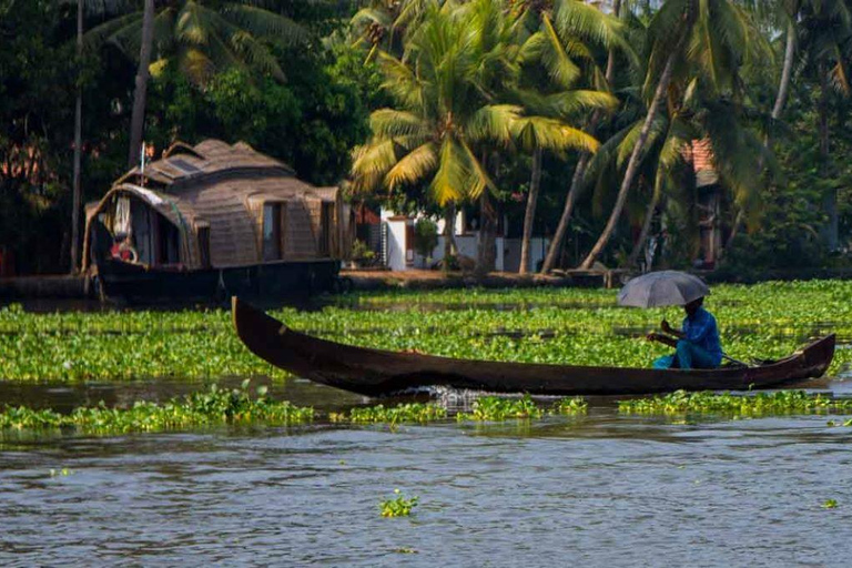 Kochi: Ultimate Kerala and Kumbalangi Village Same Day Tour