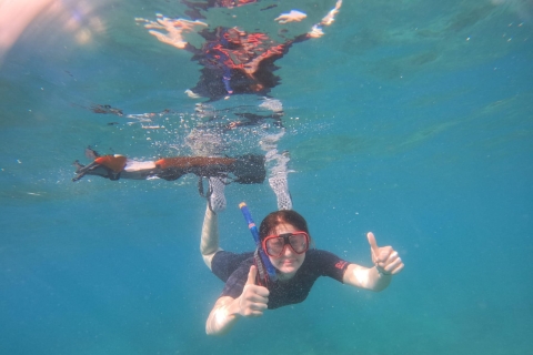 Tenerife: Kayak con Snorkel , descubre tortugas y delfinesTenerife: Kayak y Snorkel con tortugas y delfines
