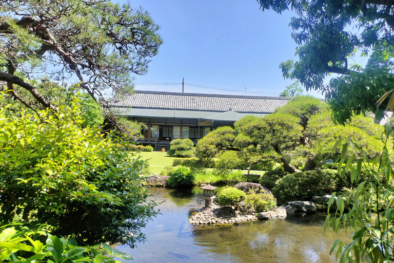 Tokyo: Ginza to Shibamata Walking Tour with Guide