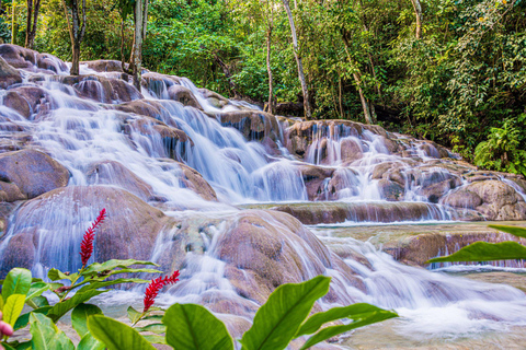 Montego Bay: Blue Hole, Secret Falls, and Dunn's River Tour