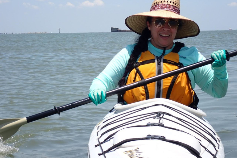 SS Selma Concreate Shipwreck | Historical WWI Landmark