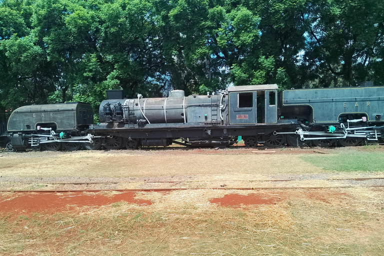 Nairobi: tour della città con guida locale