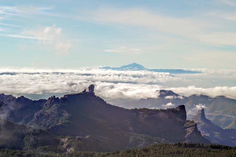 Gran Canaria: Wycieczka po najważniejszych atrakcjach, wędrówka po lesie LauerMaspalomas: Wycieczka po najważniejszych atrakcjach z wędrówką po lesie Lauer