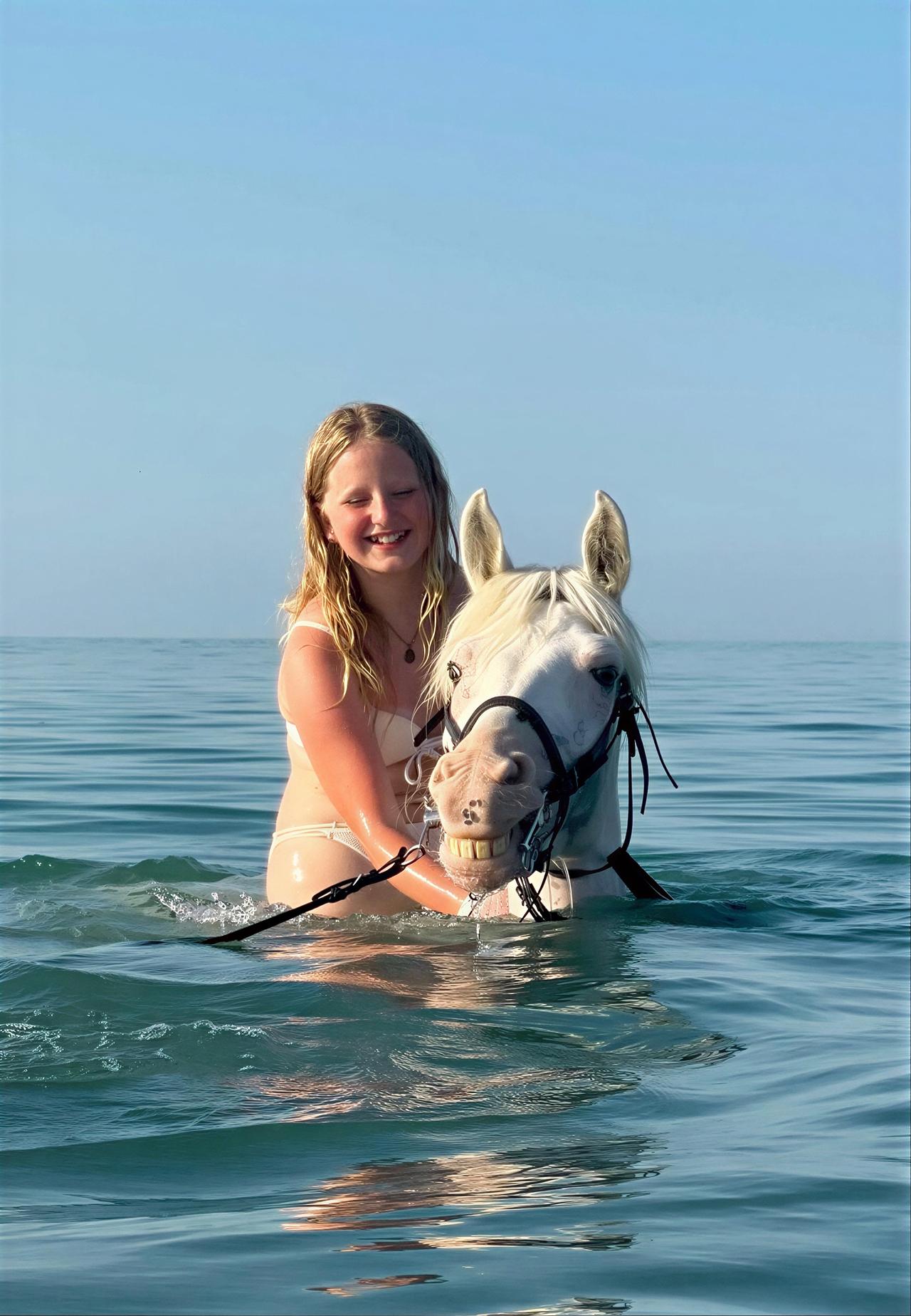 Hurghada: Schwimmen mit Pferden im Roten Meer