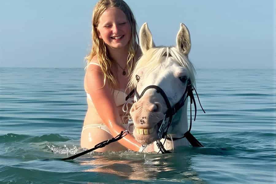 Hurghada: Schwimmen mit Pferden im Roten Meer. Foto: GetYourGuide