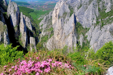 From Cluj: Turda Salt Mine, Gorge, and Remetea Full-Day Trip