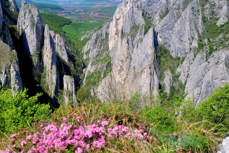 From Cluj: Turda Salt Mine, Gorge, and Remetea Full-Day Trip