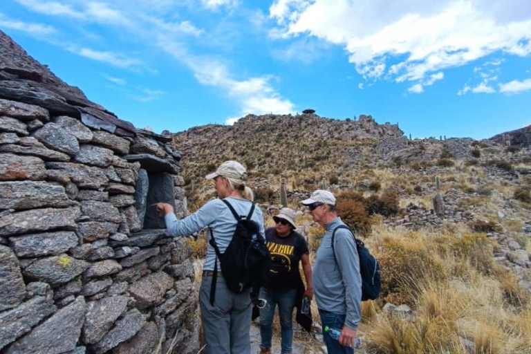 La Paz: 1-tägige Uyuni Salt Flats Tour mit Flug und HotelPrivate Tour