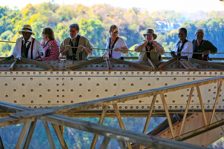 De Victoria Falls: Passeio pela ponte histórica