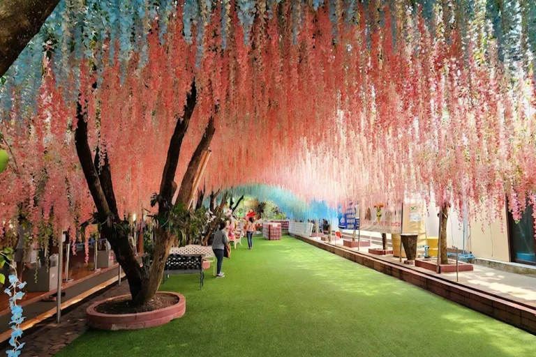 Da Chiang Rai a Chiang Mai: tour panoramico privatoDa Chiang Rai a Chiang Mai: tour privato con trasferimento panoramico