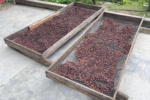 Minca: Coffee Farm and Hidden Waterfall Tour with Lunch