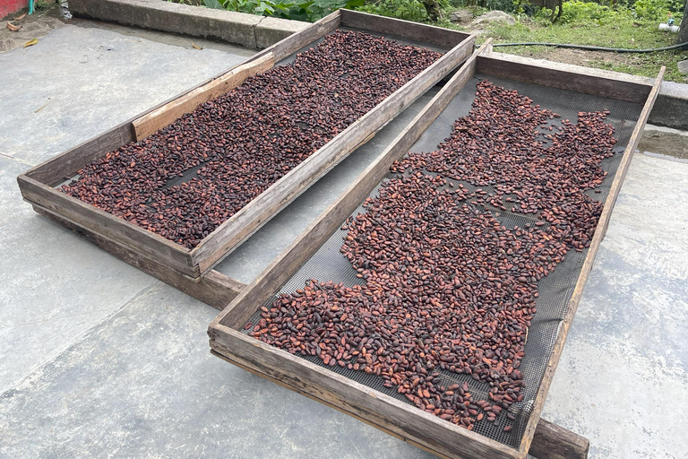 Minca: Coffee Farm and Hidden Waterfall Tour with Lunch