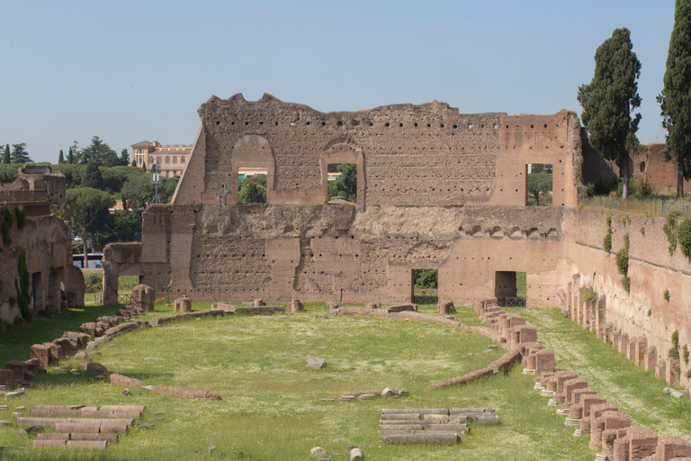 Rome: Colosseum, Roman Forum and Palatine Hill Guided Tour Colosseum, Roman Forum and Palatine English Guided Tour