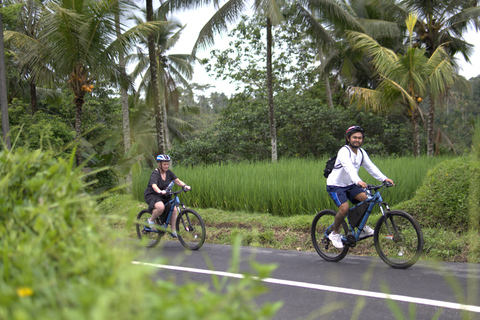Ubud: E-Bike Tour with Rice Terrace and Village Visit Ubud: E-Bike Tour with Rice Terrace and Village Visit