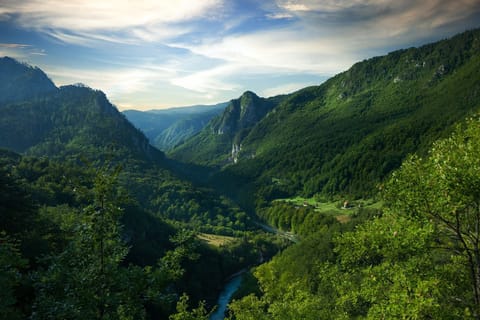 Montenegro: Durmitor, Tara & Ostrog Monastery Day Trip