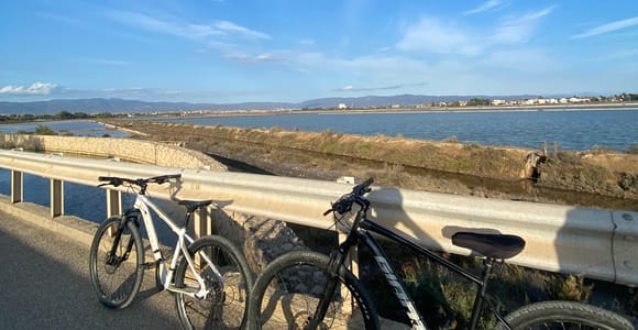 Lieferrad für 6 Stunden Castello/Molentargius/Poetto/Quartu