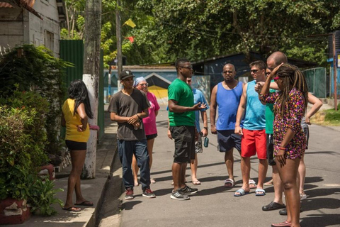 Saint Lucia: Wandeling door het regenwoud en safari door de waterval