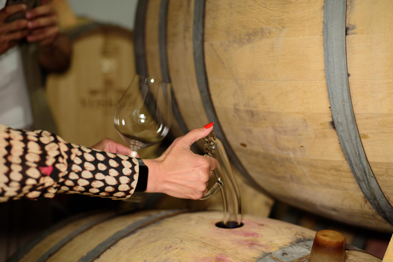 Yerevan: Wine Tasting and Vineyard Lunch at Voskeni Winery