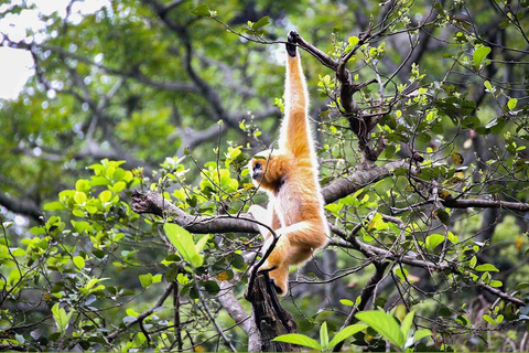 Cuc Phuong nationalpark Van Long-reservatet Privat dagsutflykt