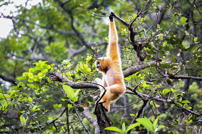 Cuc Phuong nationalpark Van Long-reservatet Privat dagsutflykt