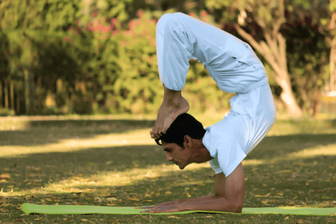 Jaipur: Traditional Indian Yoga Experience