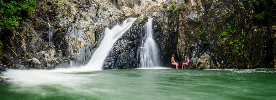 Forêt tropicale de Daintree : Promenade dans les cascades, baignade et croisière pour les crocodiles