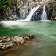 Daintree Rainforest: Waterfall Walk, Swim & Crocodile Cruise
