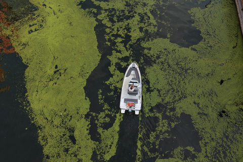 Gdańsk: Private Self-Drive Electric Boat Rental (No License)