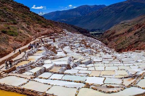 Från Cusco: Tur i Heliga dalen Salineras de Maras och Moray