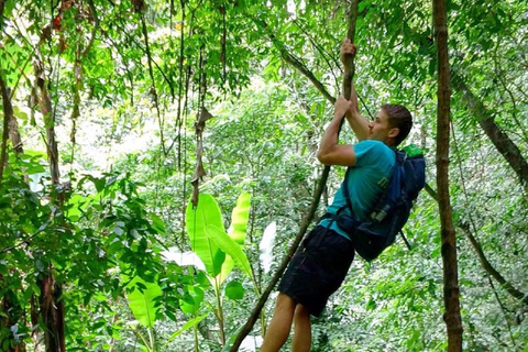 Hanoi: Van Long Wetland, Bear Sanctuary, Cuc Phuong Tour