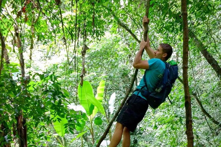 Hanoi: Van Long Wetland, Bear Sanctuary, Cuc Phuong Tour