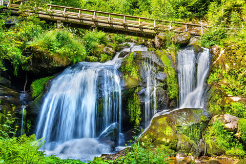 Tour privado: Zúrich a Titisee-Neustadt y cataratas del RinDesde Zúrich: viaje a Titisee-Neustadt y cataratas del Rin