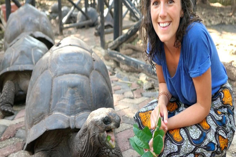 FROM NUNGWI/KENDWA:STONE TOWN, PRISON ISLAND & JOZANI FOREST Private tour include hotel pick up and drop off